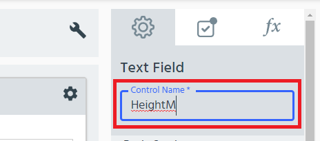 text field label